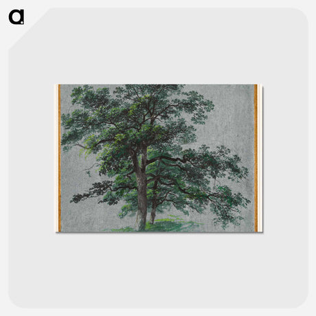 アートポストカード-Two Trees and Tree Studies
 - クリーブランド美術館 Postcard.