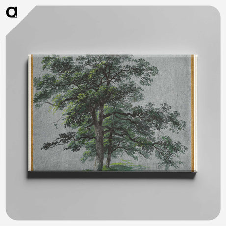 2-87_Cleveland-Museum-of-Art_canvas