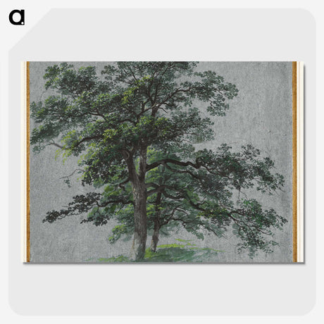 2-87_Cleveland-Museum-of-Art_picture-crop