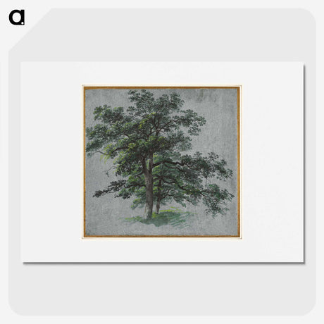 2-87_Cleveland-Museum-of-Art_picture