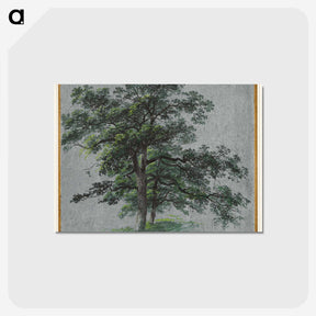 2-87_Cleveland-Museum-of-Art_postcard