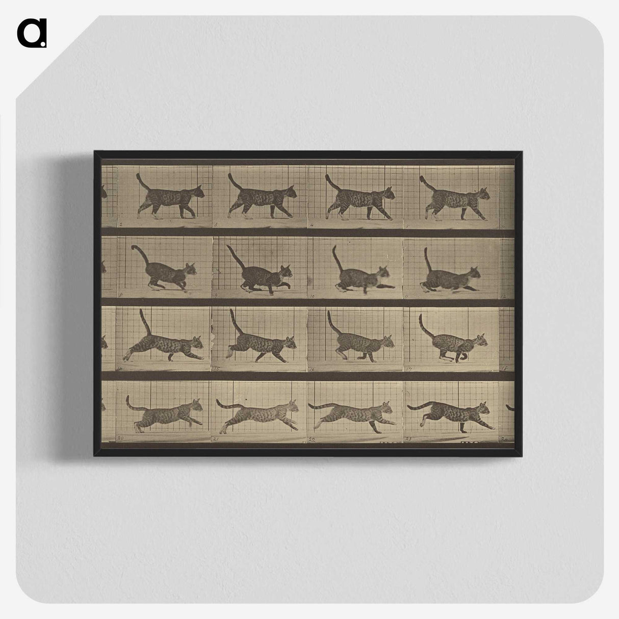 2-87_Eadweard-Muybridge_blk-crop