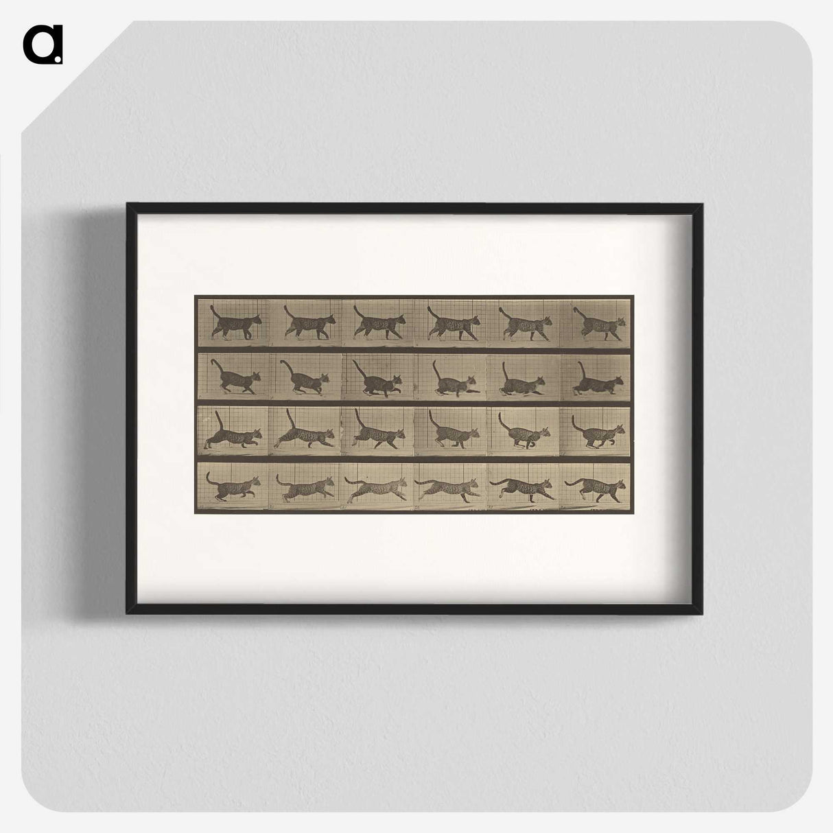 2-87_Eadweard-Muybridge_blk