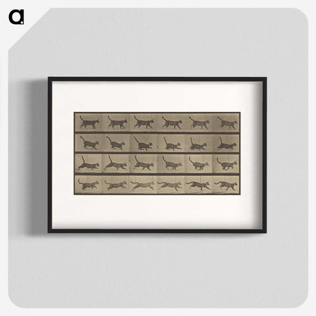 2-87_Eadweard-Muybridge_blk
