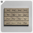 2-87_Eadweard-Muybridge_canvas