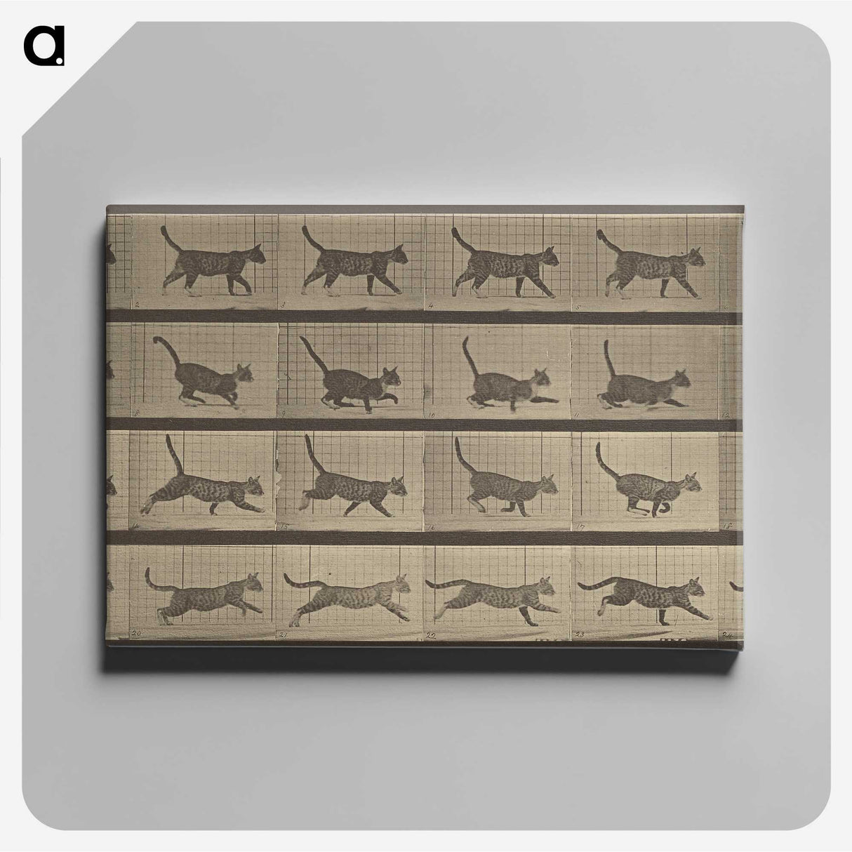 2-87_Eadweard-Muybridge_canvas