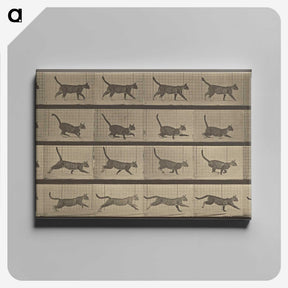 2-87_Eadweard-Muybridge_canvas