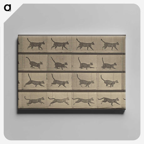 2-87_Eadweard-Muybridge_canvas