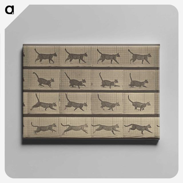2-87_Eadweard-Muybridge_canvas