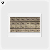 アートポストカード-Animal Locomotion
 - エドワード マイブリッジ Postcard.