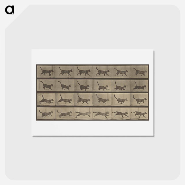 アートポストカード-Animal Locomotion
 - エドワード マイブリッジ Postcard.
