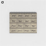 2-87_Eadweard-Muybridge_memo