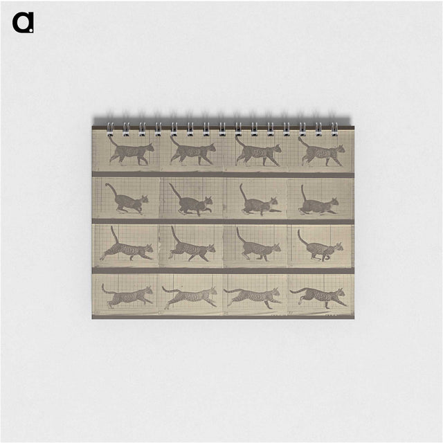 2-87_Eadweard-Muybridge_memo