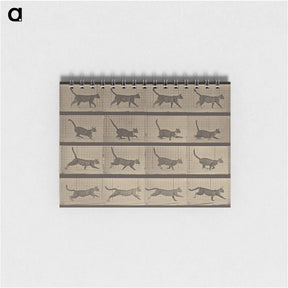 アートメモ帳-Animal Locomotion
 - エドワード マイブリッジ Memo.