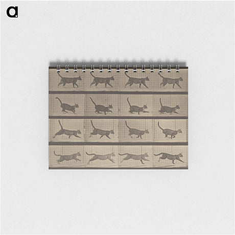 アートメモ帳-Animal Locomotion
 - エドワード マイブリッジ Memo.