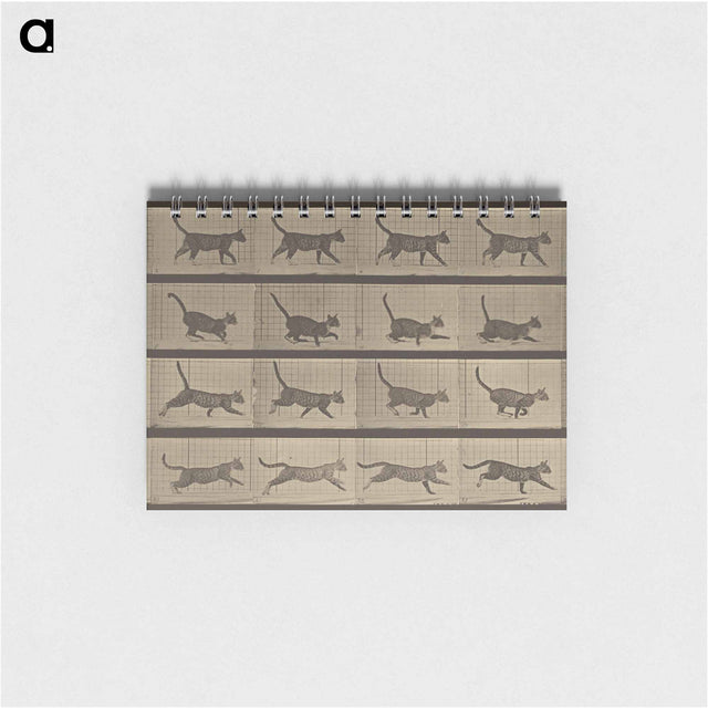 アートメモ帳-Animal Locomotion
 - エドワード マイブリッジ Memo.