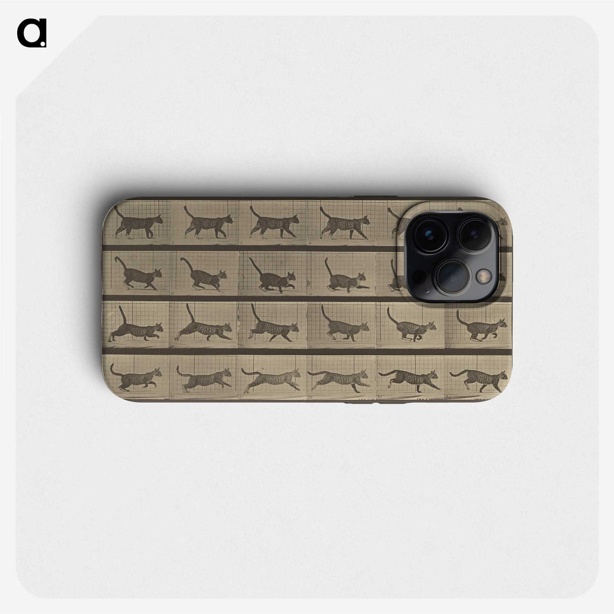 2-87_Eadweard-Muybridge_phone