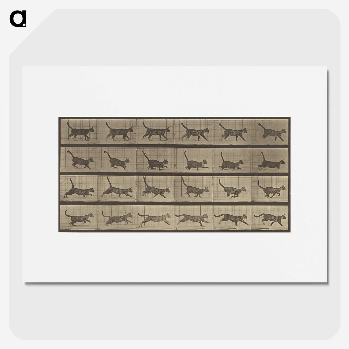 2-87_Eadweard-Muybridge_picture