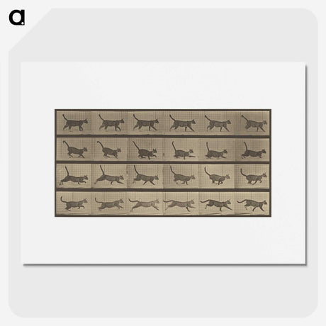 2-87_Eadweard-Muybridge_picture