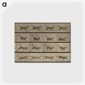 2-87_Eadweard-Muybridge_postcard