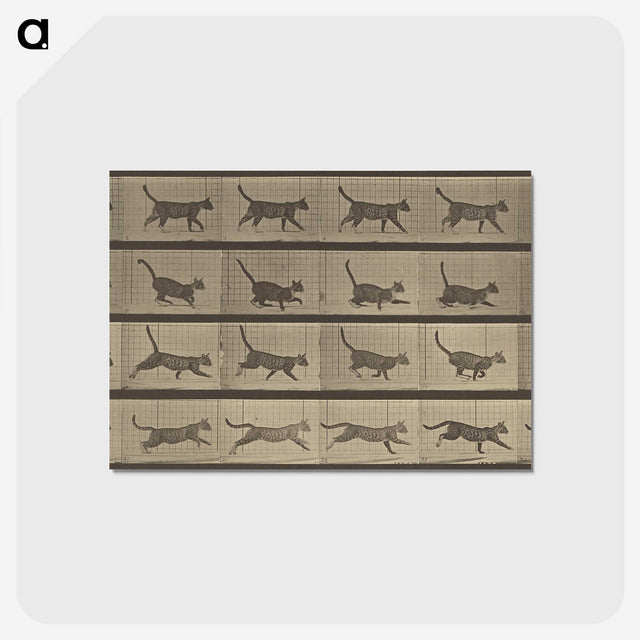 2-87_Eadweard-Muybridge_postcard