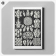 2-87_Ernst-Haeckel_canvas