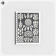 2-87_Ernst-Haeckel_memo