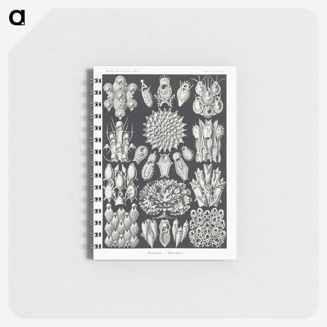 2-87_Ernst-Haeckel_memo