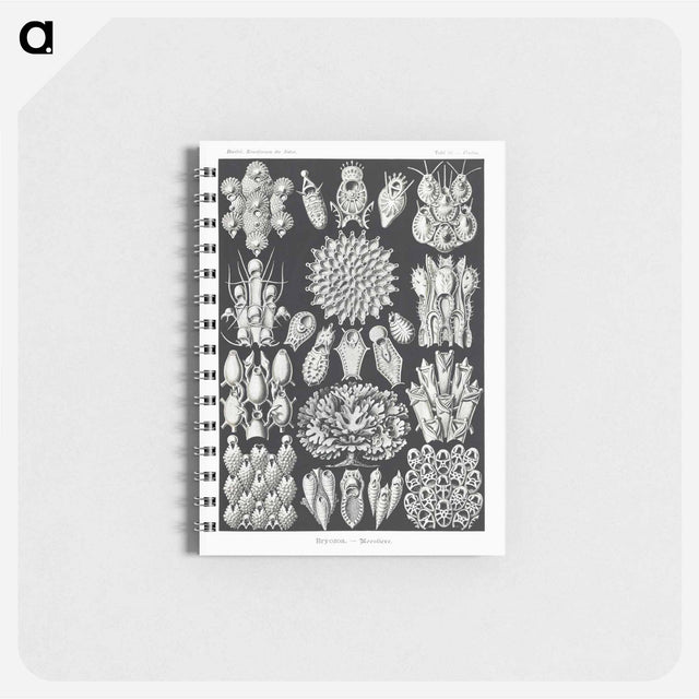 アートメモ帳-Bryozoa–Woostiere - エルンスト ヘッケル Memo.