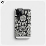 2-87_Ernst-Haeckel_phone