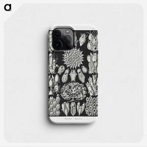 2-87_Ernst-Haeckel_phone