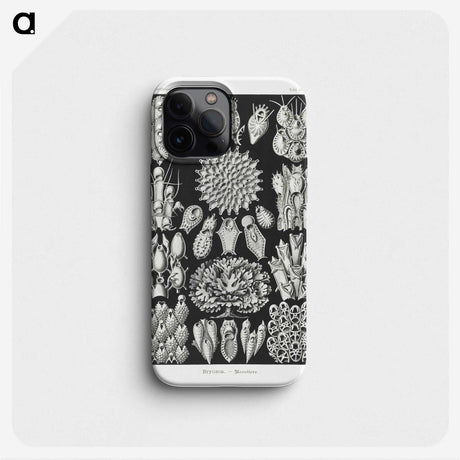 2-87_Ernst-Haeckel_phone