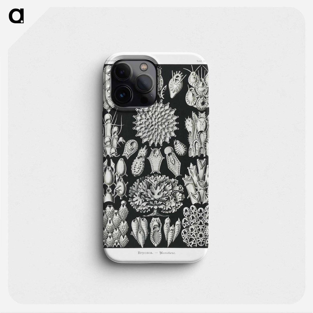 Bryozoa–Woostiere - エルンスト ヘッケル Phone Case.