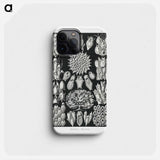 Bryozoa–Woostiere - エルンスト ヘッケル Phone Case.