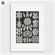 2-87_Ernst-Haeckel_picture