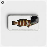 2-87_Ichtyologie-ou-Histoire-naturelle_phone