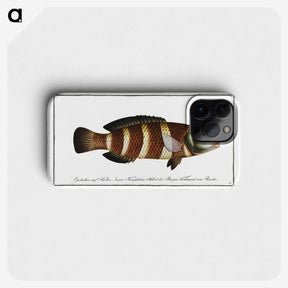 2-87_Ichtyologie-ou-Histoire-naturelle_phone