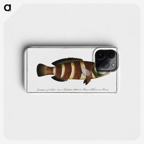 2-87_Ichtyologie-ou-Histoire-naturelle_phone