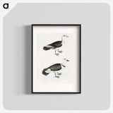 2-87_Indian-Zoology_blk
