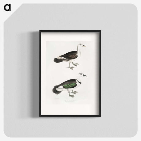2-87_Indian-Zoology_blk