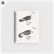 2-87_Indian-Zoology_memo