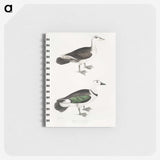 2-87_Indian-Zoology_memo