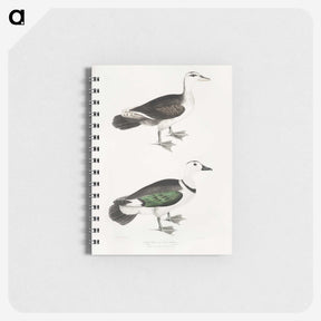 2-87_Indian-Zoology_memo