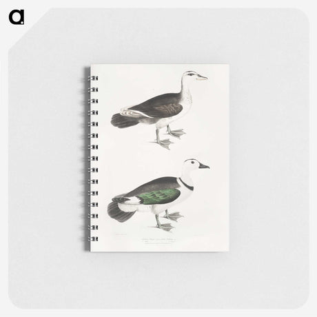 2-87_Indian-Zoology_memo