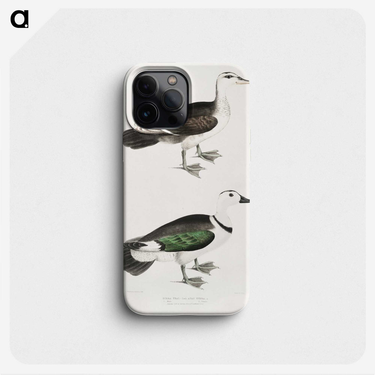 2-87_Indian-Zoology_phone