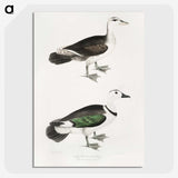 2-87_Indian-Zoology_picture-crop