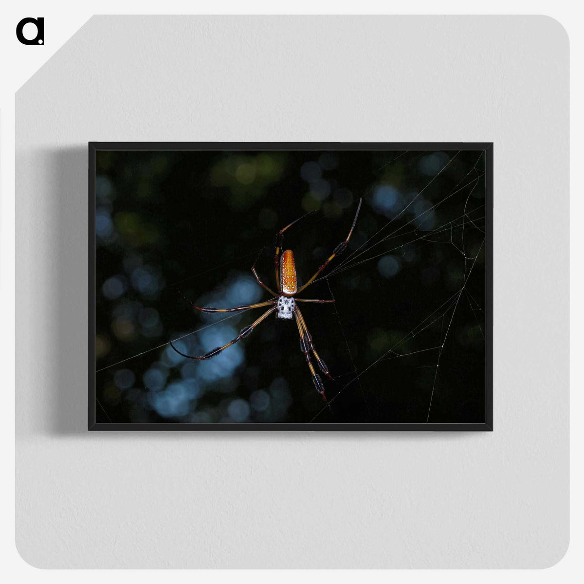 2-87_Insects-Unlocked-Project_blk-crop