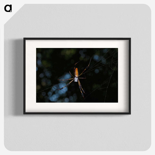 2-87_Insects-Unlocked-Project_blk