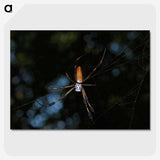 2-87_Insects-Unlocked-Project_picture-crop