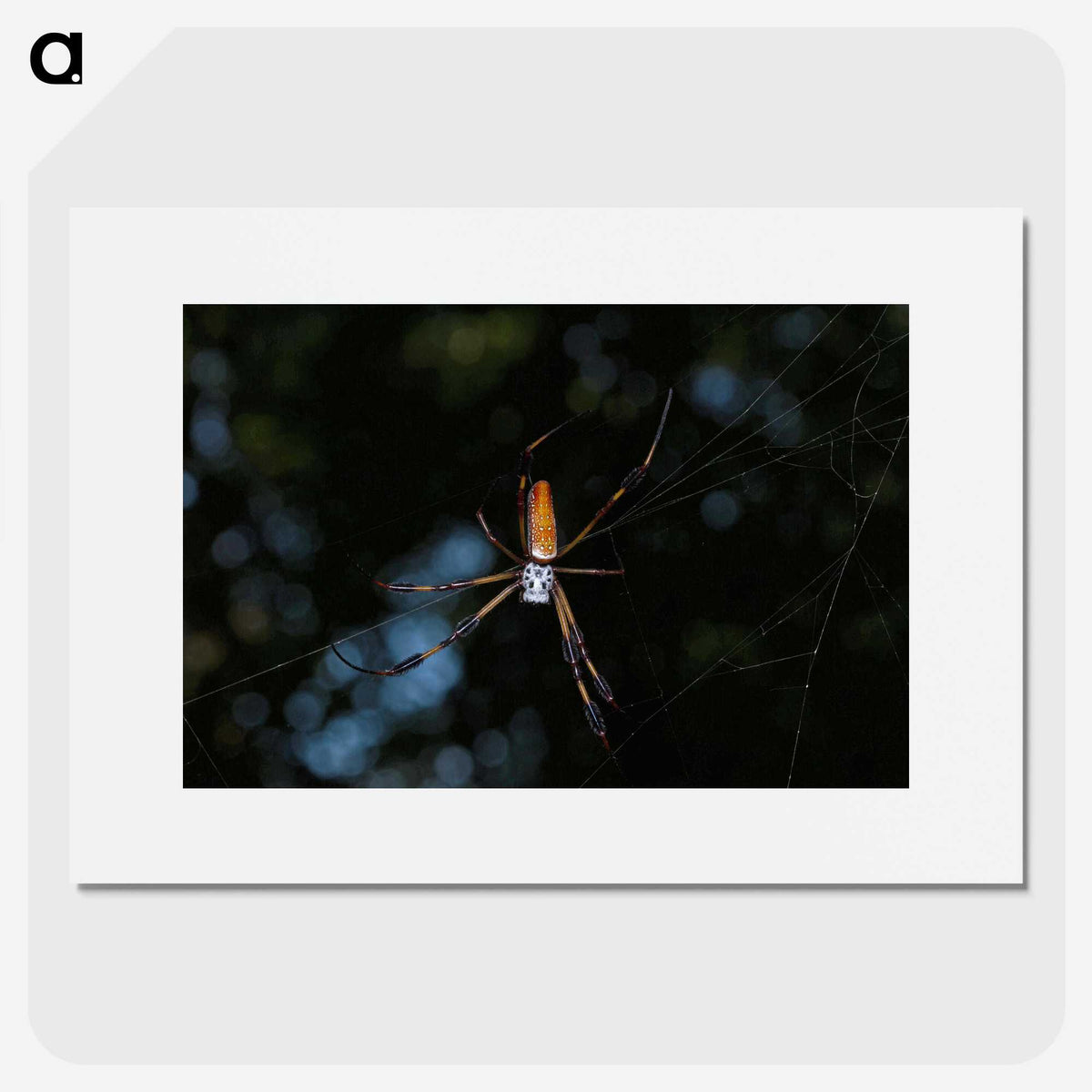 2-87_Insects-Unlocked-Project_picture